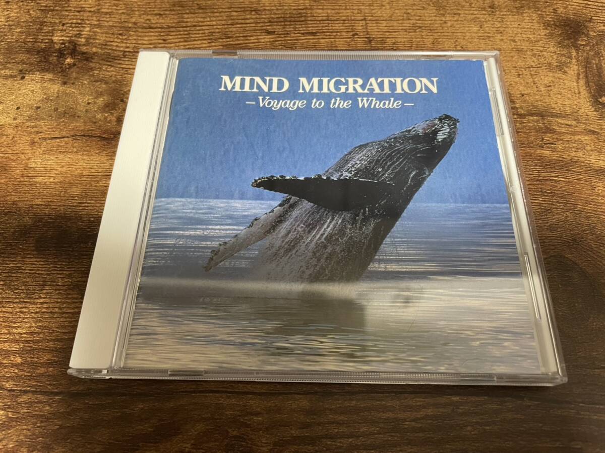 CD「巨鯨幻想MIND MIGRATION」水口博也 クジラ 環境音●拍卖