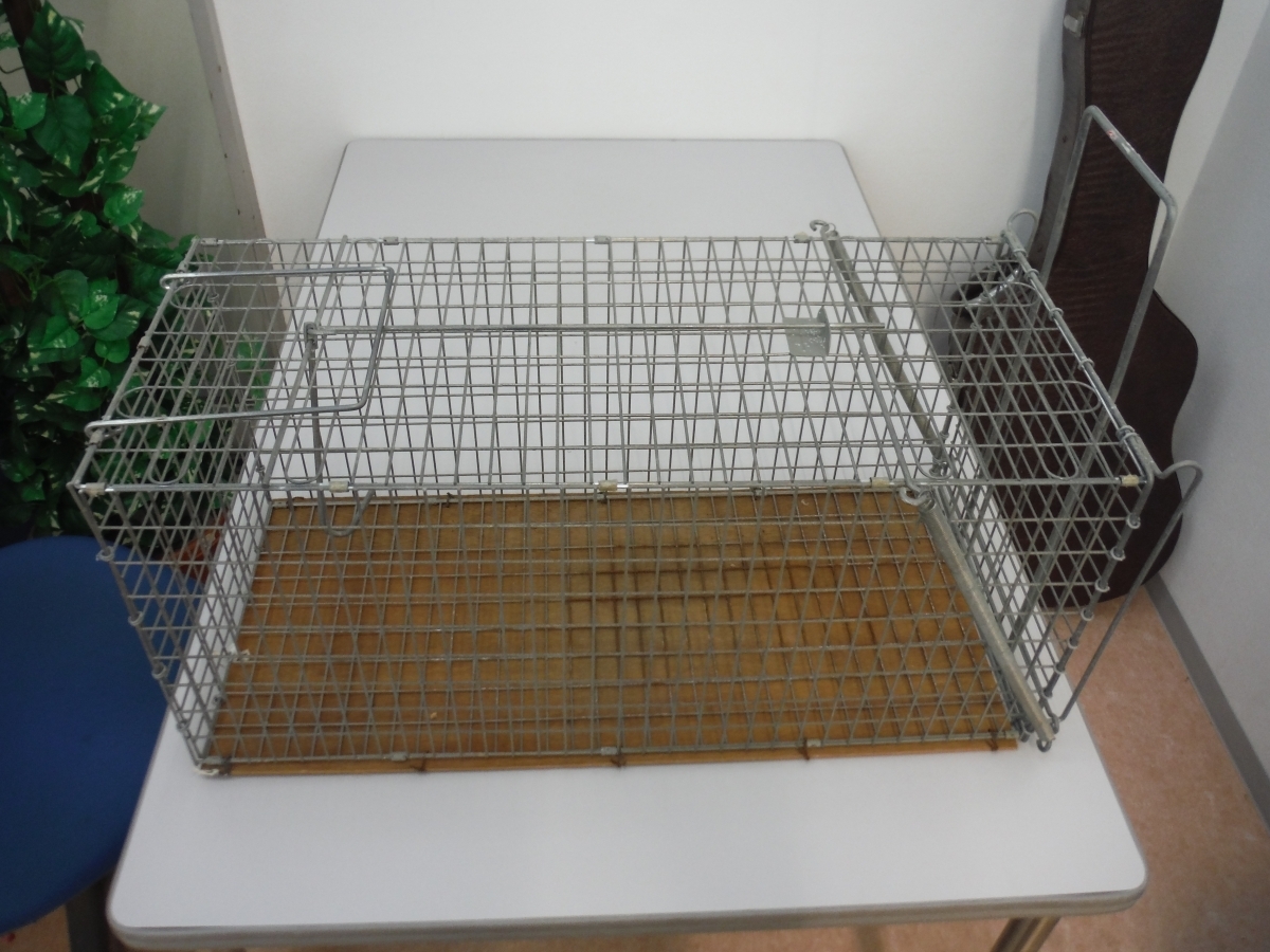 ○BEe 中型獣用箱わな 290x290x650 中古 鳥取県 引取歓迎拍卖