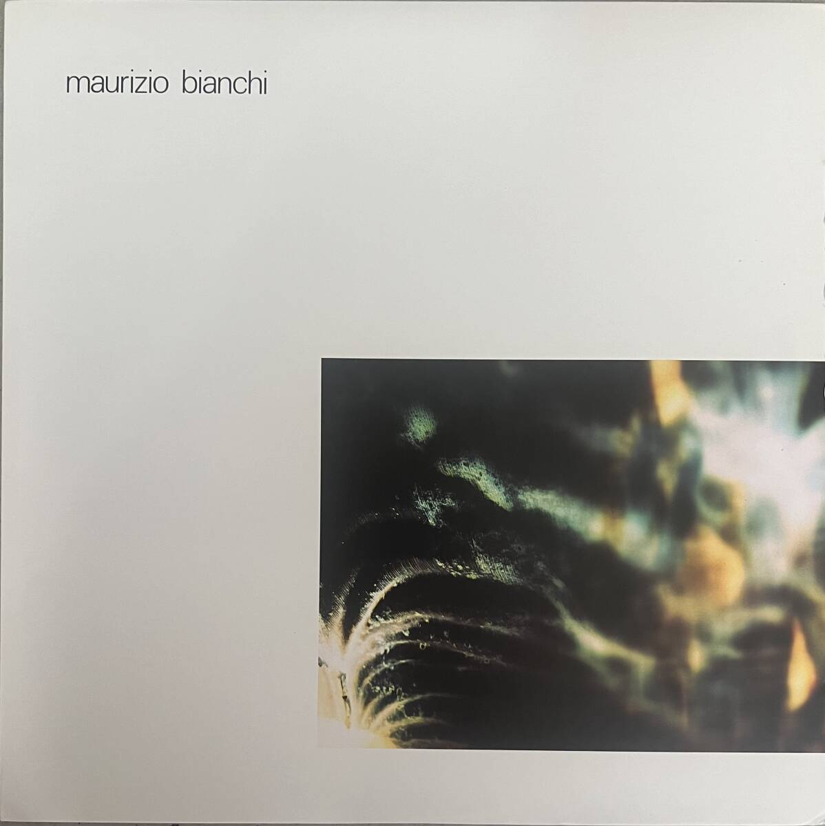 Maurizio Bianchi - S.F.A.G. 81拍卖