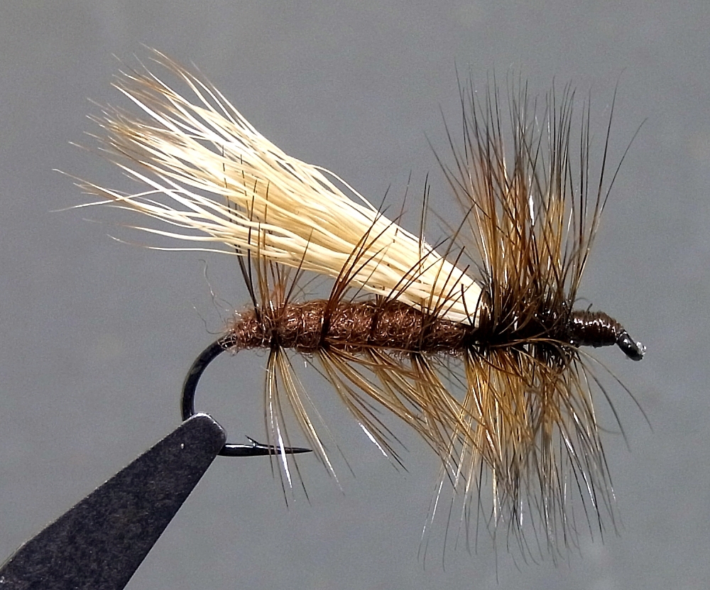 大物用! ブラウン ストーンフライ #12 5本拍卖