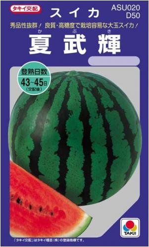 送料無料 夏武輝 大玉すいか 3粒拍卖
