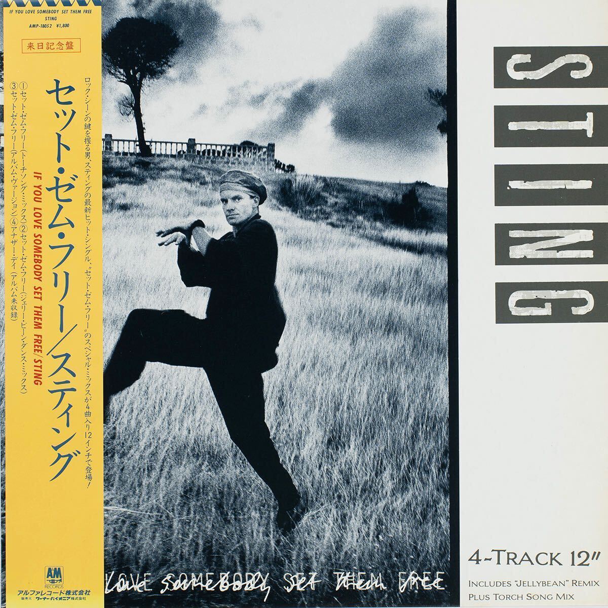 Sting / If You Love Somebody Set Them Free AMP-18052 国内盤帯付き Vinyl レコード拍卖
