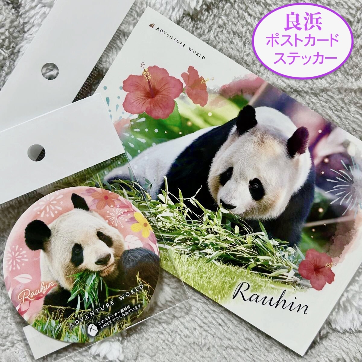 ★アドベンチャーワールド 良浜 ポストカード&ステッカー★ ジャイアントパンダ 結浜 彩浜 楓浜 浜家ファミリー拍卖