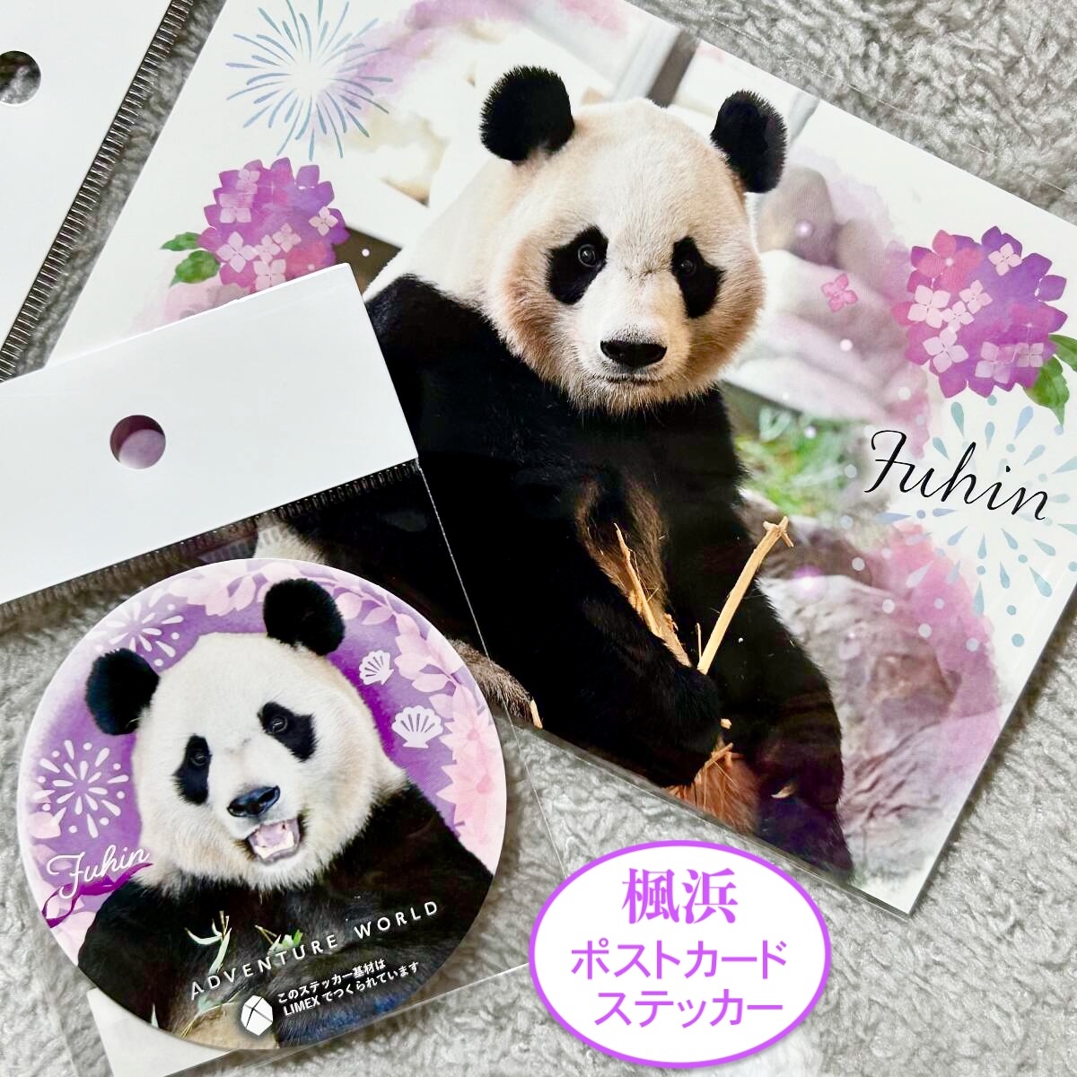 ★アドベンチャーワールド 楓浜 ポストカード&ステッカー★ ジャイアントパンダ 良浜 結浜 彩浜 浜家ファミリー拍卖