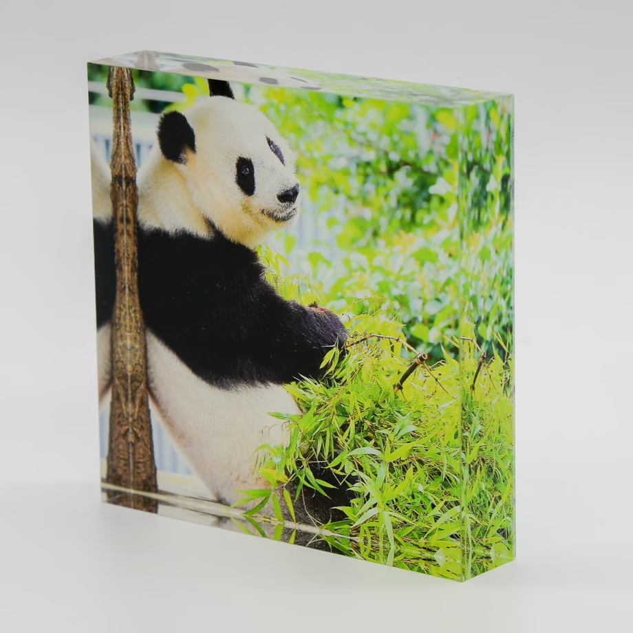 ★TANTAN 28th anniversary「特製アクリルブロック(お食事タンタン)」★ 王子動物園 旦旦 神戸新聞社 パンダ 上野動物園 シャンシャン拍卖