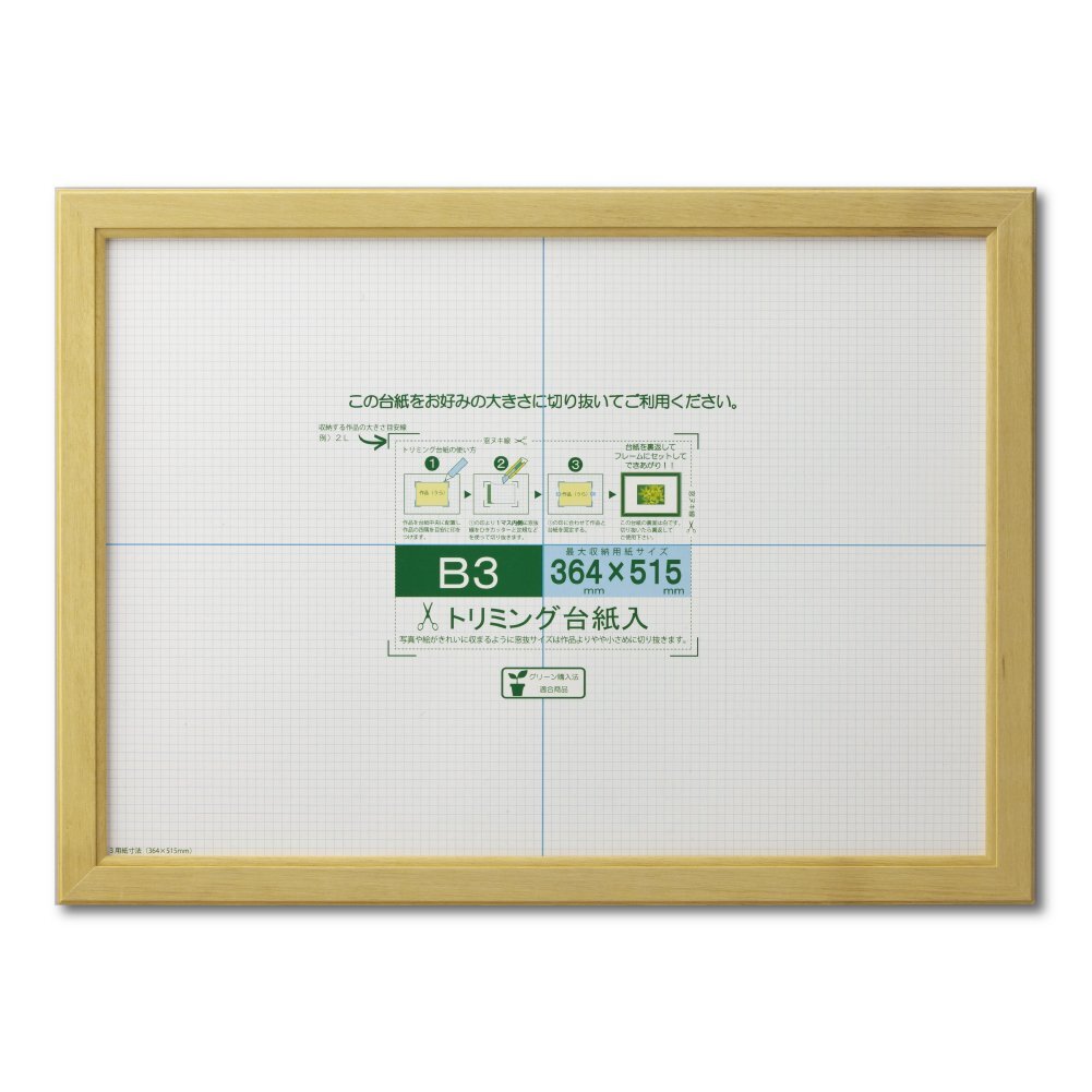 大仙 額縁 賞状額 カノエ B3 ナチュラル シュリンクパック J635D4400拍卖