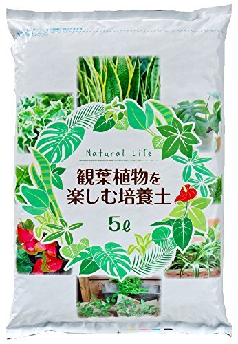 自然応用科学 観葉植物を楽しむ培養土5L 室内向け 水はけが良い拍卖