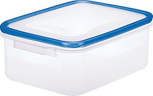 リス 保存容器 クリアブルー 3.5L パッセハード 抗菌加工 日本製 WJ-1拍卖