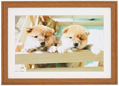 FUJICOLOR 木製額縁 YM-9 ワイド6切 ブラウン 407680拍卖