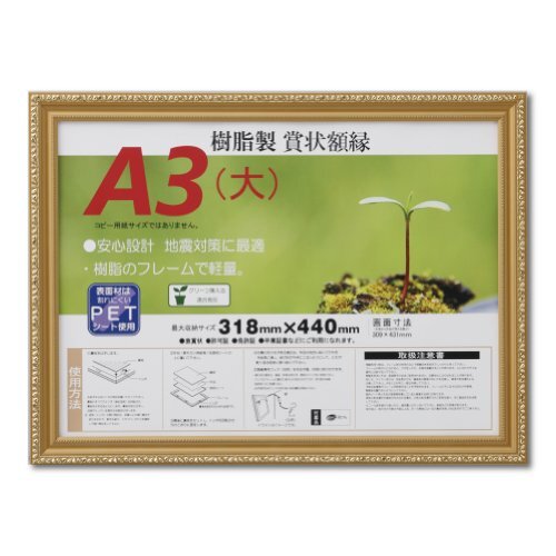 大仙 額縁 賞状額 金消 R A3大 樹脂製 シュリンクパック J045B3400拍卖
