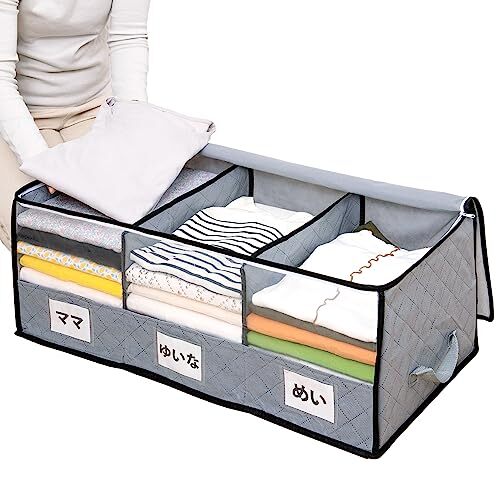 アストロ 活性炭消臭 衣類収納ケース 仕切り2か所付き ワイド 活性炭のチカラで消臭保管 通気性の良い不織布がホコリなどの汚れをガード 仕拍卖