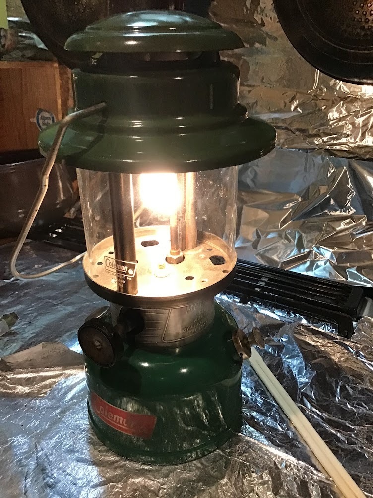 コールマン 335 76年01月 燃焼確認済 ビンテージ Coleman ランタン 白ロゴホヤ拍卖