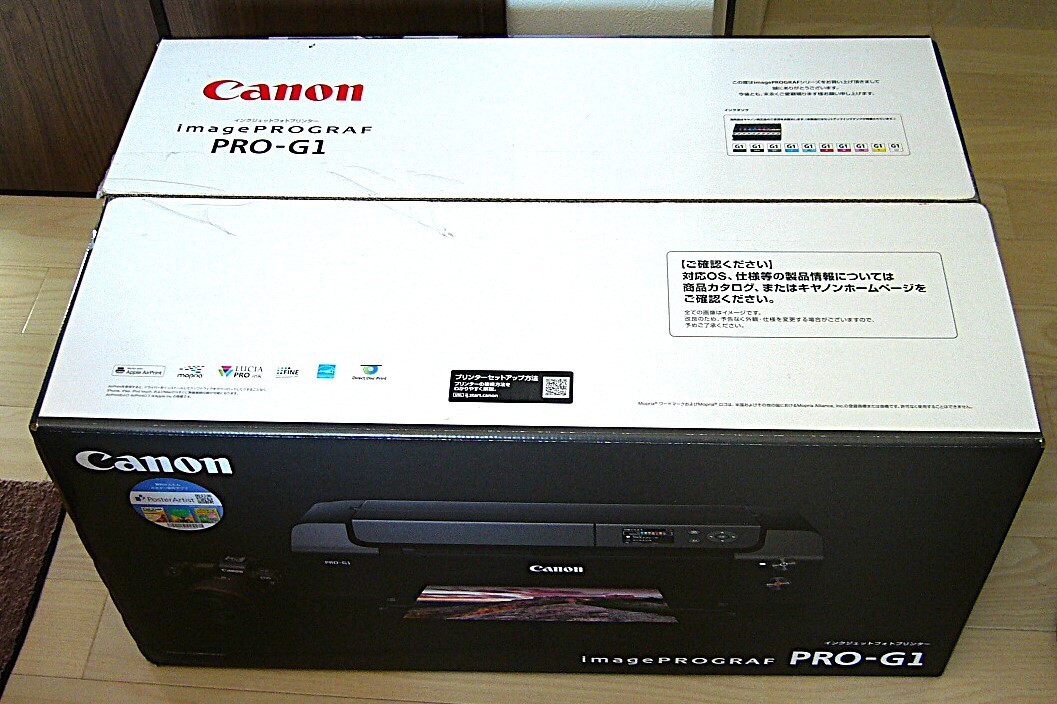 【 外装箱+梱包材 のみ 】キヤノン imagePROGRAF PRO-G1拍卖