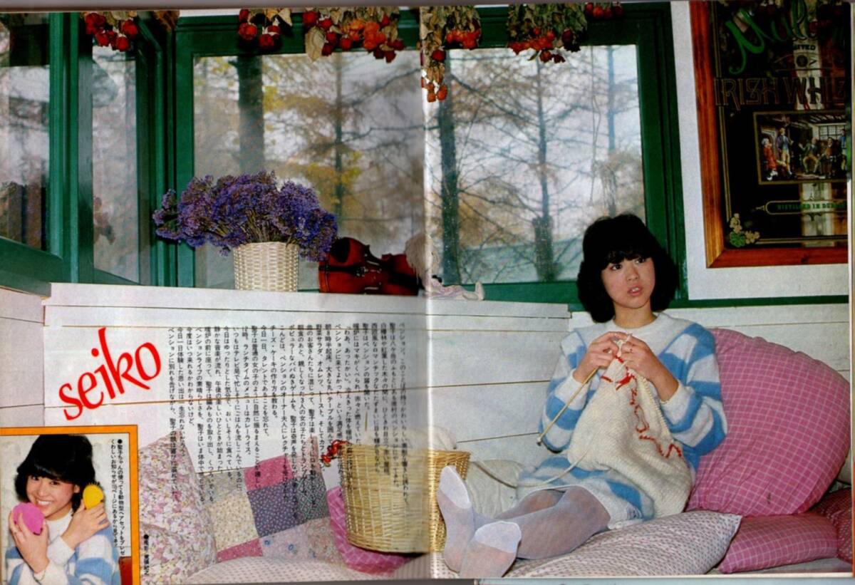 S3759 平凡 1982年 昭和57年 松田聖子柏原よしえ岩崎良美 上田美恵 沢田富美子 浜田朱里 三原順子 香坂みゆき パンジー北原佐和子 西城秀樹拍卖