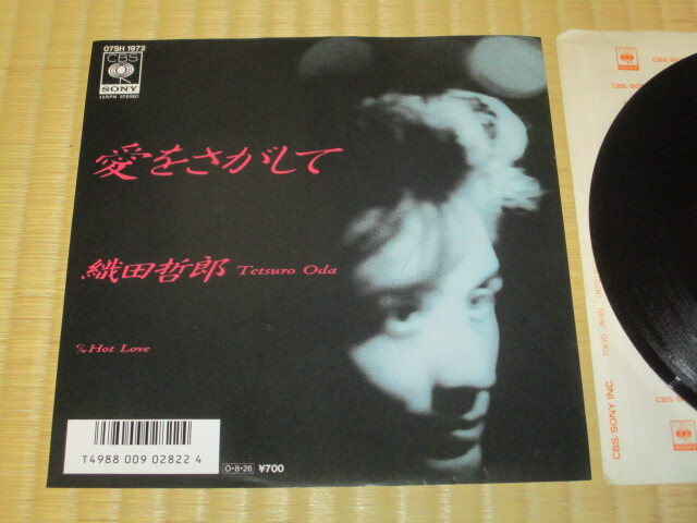 見本盤 織田哲郎 愛をさがして c/w Hot Love EP ホワイ WHY拍卖