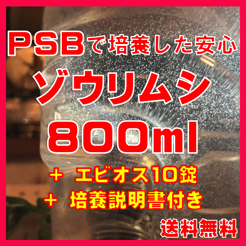 ★送料無料★PSBで培養したゾウリムシ種水800ml+エビオス10錠+培養説明書 メダカの針子、稚魚、幼魚、越冬中にも安心。拍卖