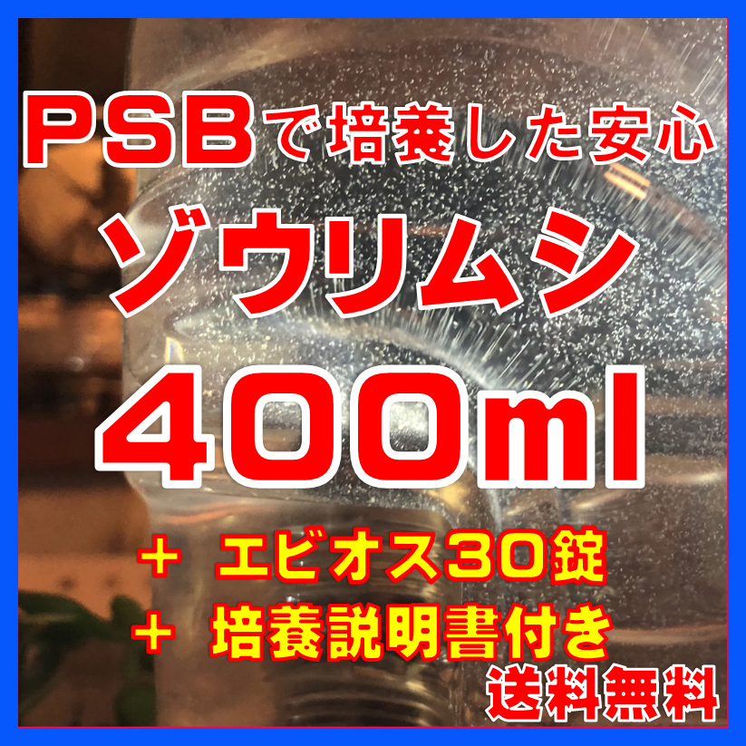 ★送料無料★PSBで培養したゾウリムシ種水400ml+エビオス30錠+培養説明書 メダカの針子、稚魚、幼魚、越冬中にも安心。拍卖