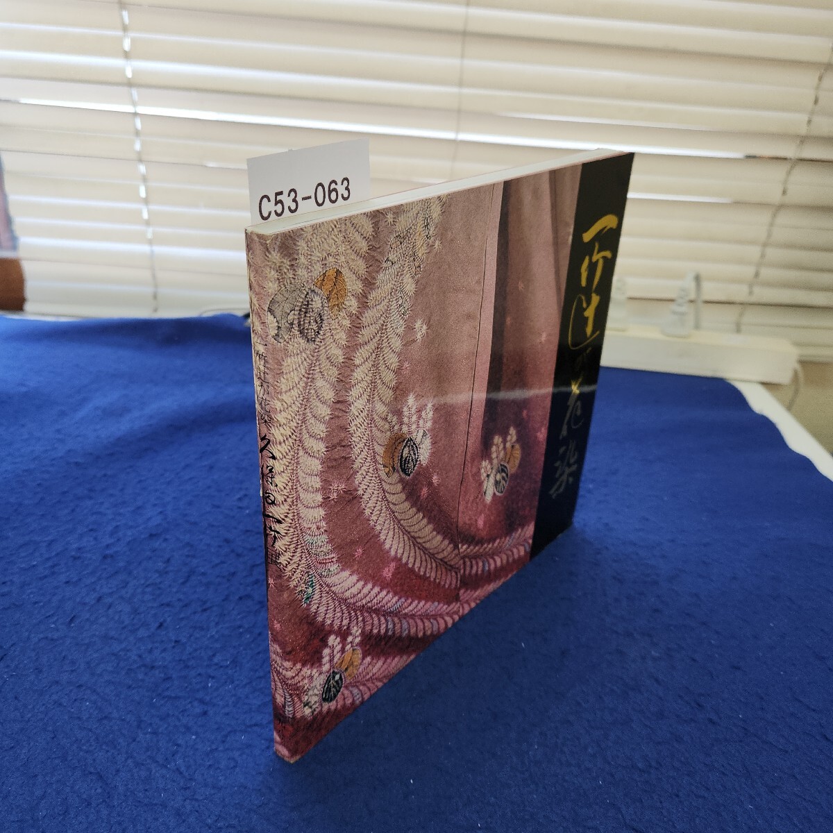 C53-063 一竹辻が花染 久保田一竹展拍卖
