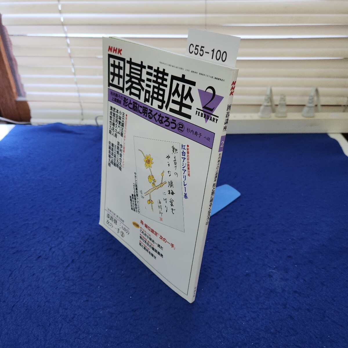 C55-100 NHK囲碁講座 平成8年2月号 別冊付録なし拍卖