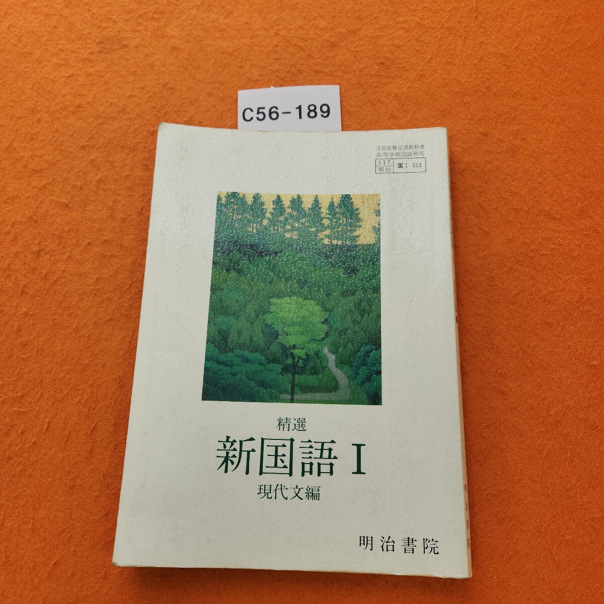 C56-189 精選 新国語 l 現代文編 明治書院 書き込みあり。拍卖