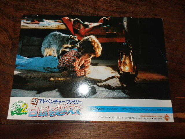 映画ロビーカード「c858 続アドベンチャー・ファミリー(8種類・画鋲跡有り)」ロバート・ローガン スーザン・D・ショー拍卖