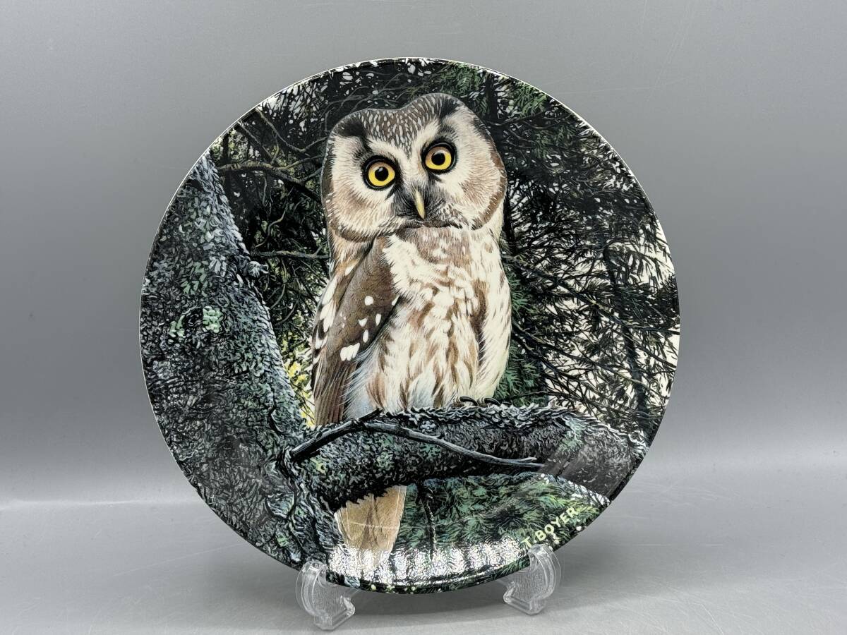 ウェッジウッド 梟 フクロウ キンメフクロウ 皿 飾り皿 (#-9)拍卖