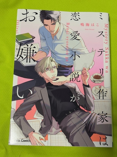 ★ミステリ作家は恋愛小説がお嫌い★鳴海はこ★送料112円拍卖