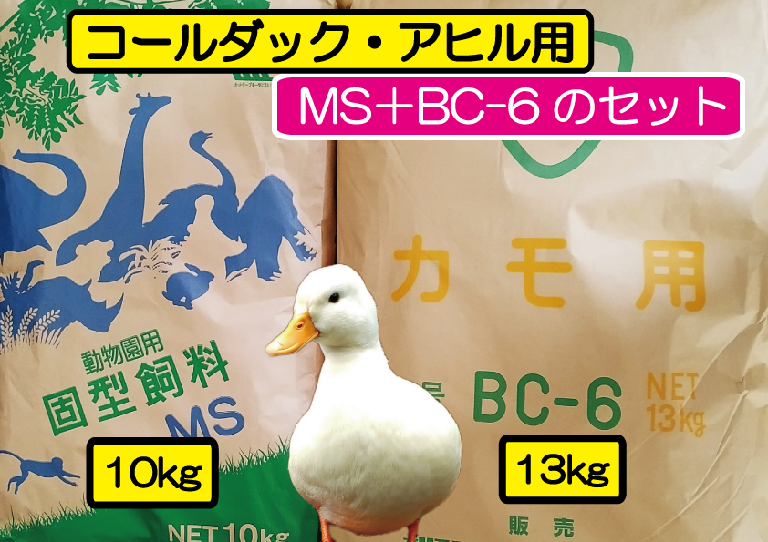 【アヒル飼育用セット】オリエンタル酵母工業MS&BC-6の大袋セット【大特価】送料無料 拍卖