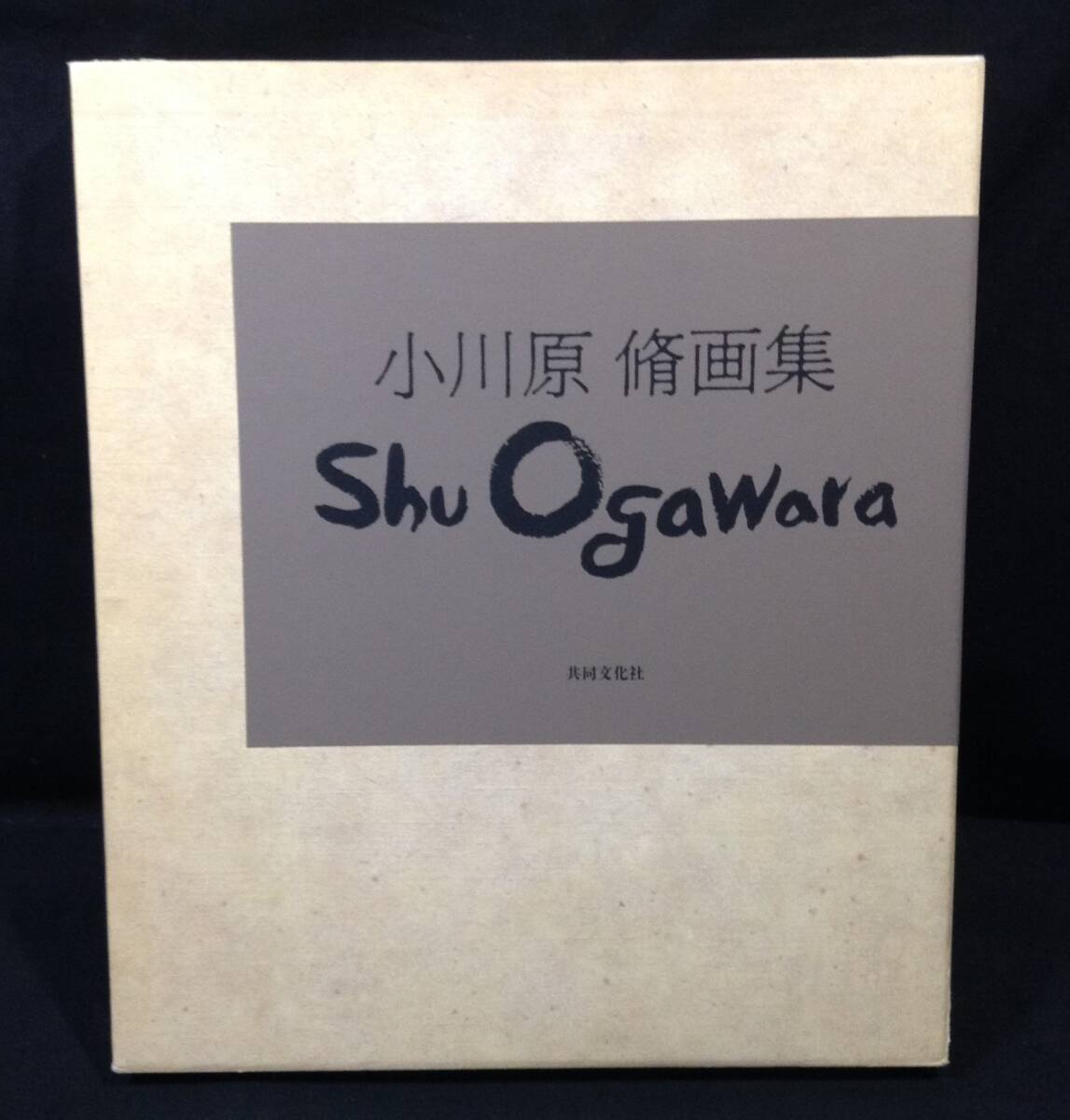 ykbd/25/0524/p80/S-1/1★小川原脩画集 私のなかの原風景 shu Ogawara 共同文化社 1994年拍卖