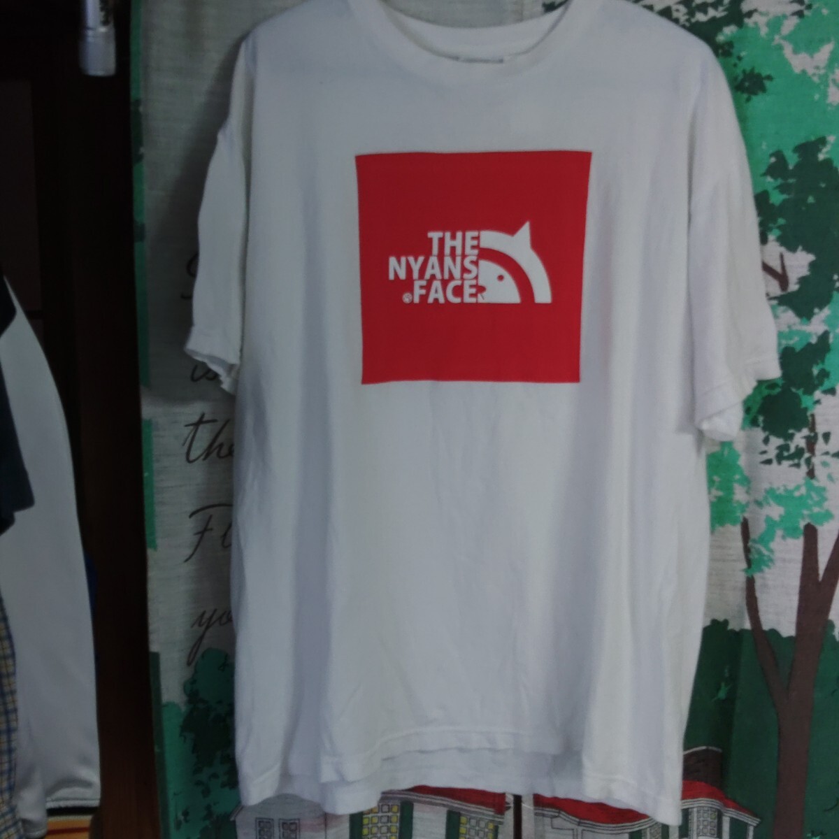 キャンプ アウトドアにいかがでしょうか? THE NYANS FACE 中古 拍卖