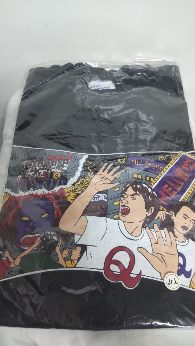 奥田民生 Tシャツ 激レア 入手困難 デッドストック 新品 未使用 ヴィンテージ バンドTシャツ 2000GTR HELL番地 90'拍卖