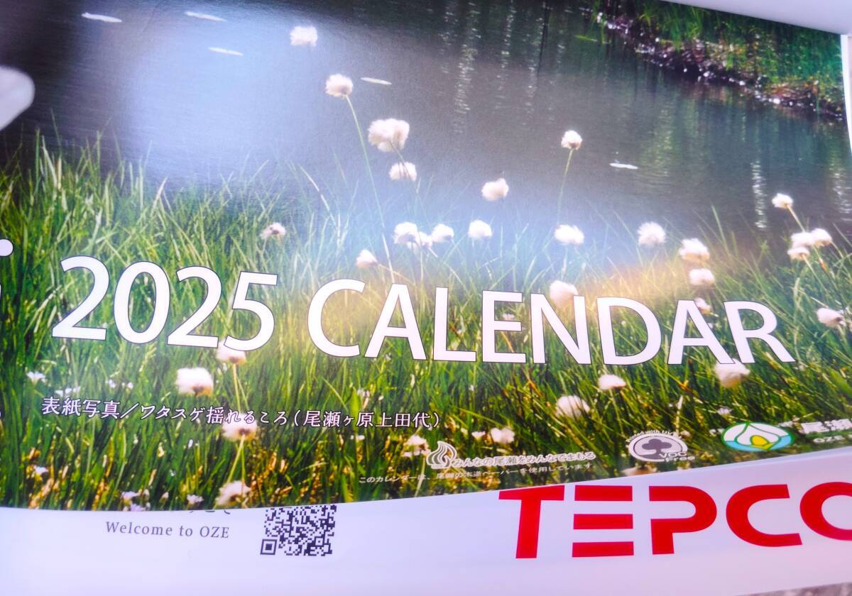 ★【非売品/未使用】カレンダー 壁掛け TEPCO 風景 はるかな尾瀬 東京電力ホールディングス株式会社拍卖