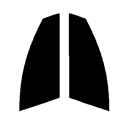 スモーク 26% 運転席、助手席 メルセデスベンツ CLSクラス W218 カット済みフィルム 国産拍卖