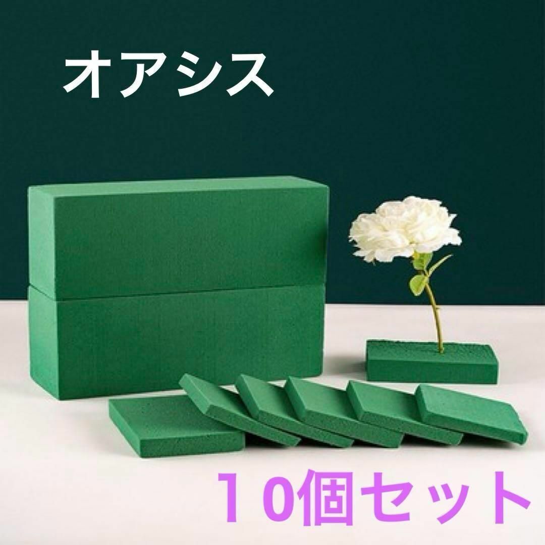 【10個】オアシス フローラルフォーム 給水スポンジ 生花 ドライオアシス拍卖