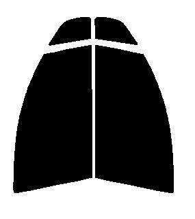 ピュア ゴーストML91 運転席、助手席 パッソセッテ M502E・M512E カット済み フィルム拍卖