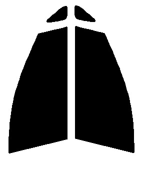 ピュア ゴーストML91 運転席、助手席 プリウス NHW20 カット済み フィルム拍卖