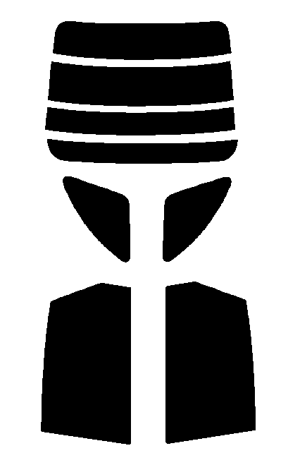 NS-020HC リヤセット トヨタ ナディア N10・N15 カット済みカーフィルム拍卖