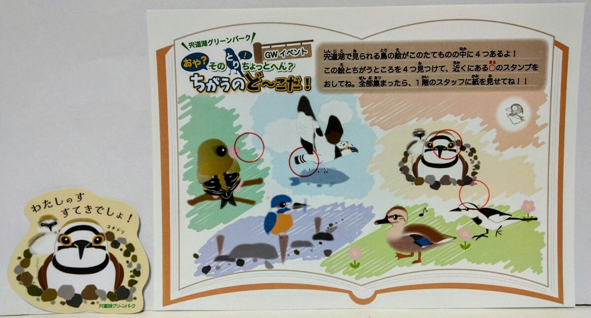 非売品◆◆宍道湖グリーンパーク コチドリ 防水 シール 新品 イベント カード◆◆小千鳥 島根県出雲市 バードウォッチング 小ちどり 小鳥拍卖