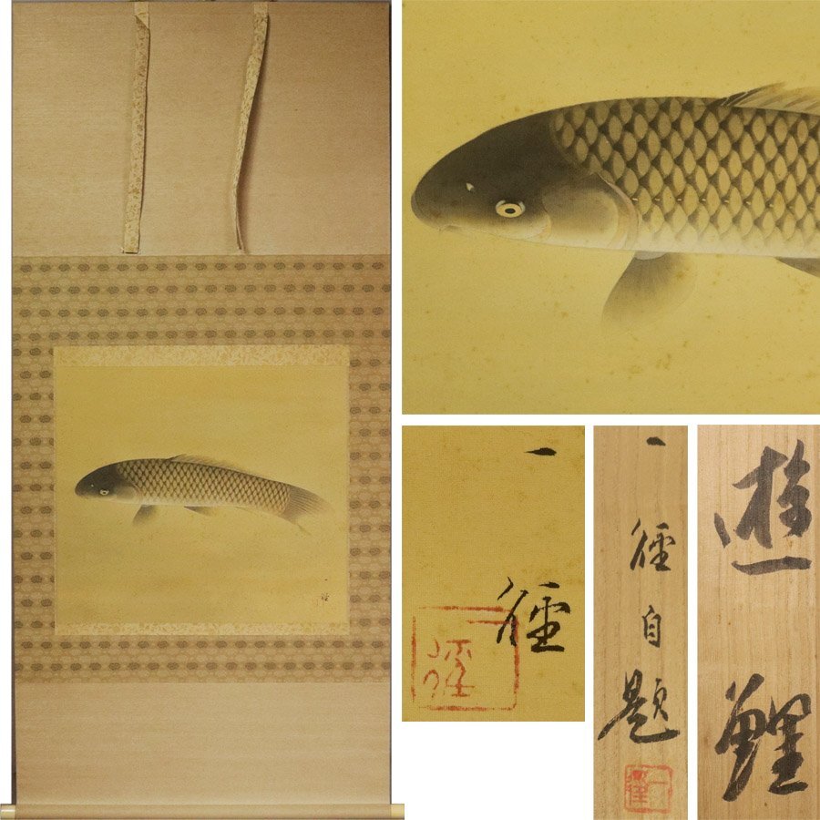 《源》【即決・送料無料】掛け軸 村田一径 筆「遊鯉図」/共箱付拍卖