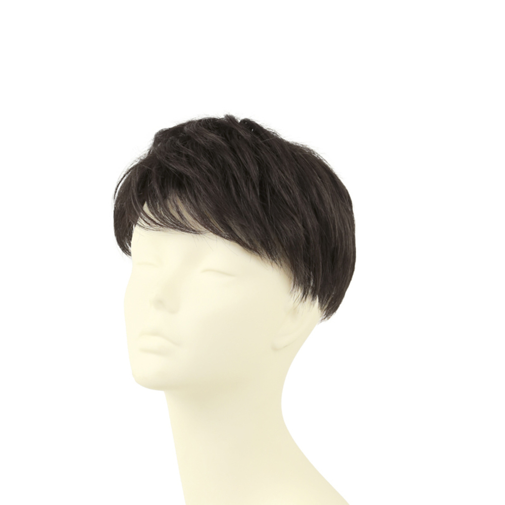 ☆ TCK/耐熱ショコラブラック ☆ プリシラ 男性用5分ウィッグ レイヤーショート GB-22 PRISILA プリシラ メンズ 部分ウィッグ 部分ウイッグ拍卖