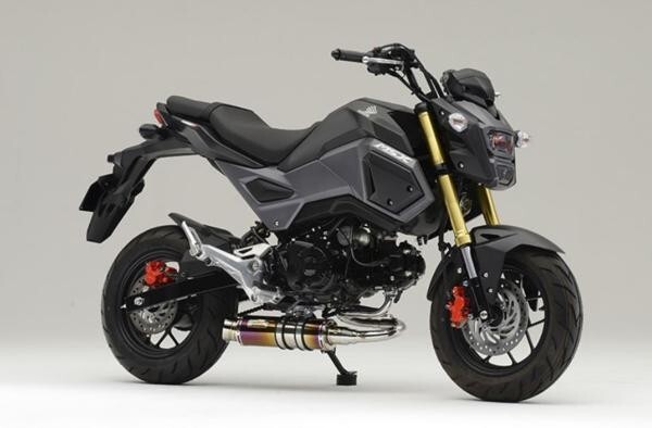 リアライズ 407-103-01 Laguna(ラグナ) Ti チタンマフラー GROM EBJ-JC61拍卖