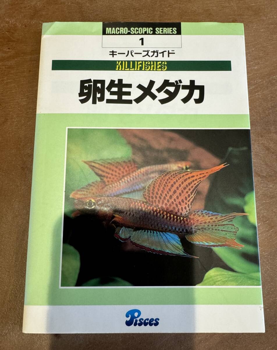 卵生メダカ キーパーズガイド1 ピーシーズ 拍卖