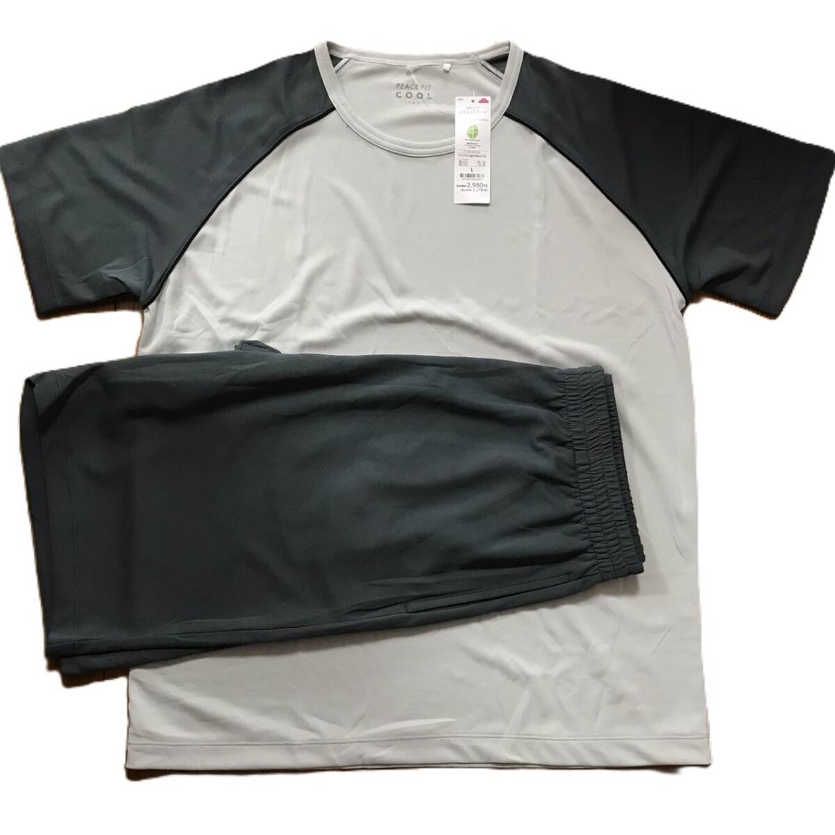 新品 タグ付き イオン メッシュ T スーツ パジャマ 上下セット 薄黒 グレー 半袖 メンズLサイズ拍卖