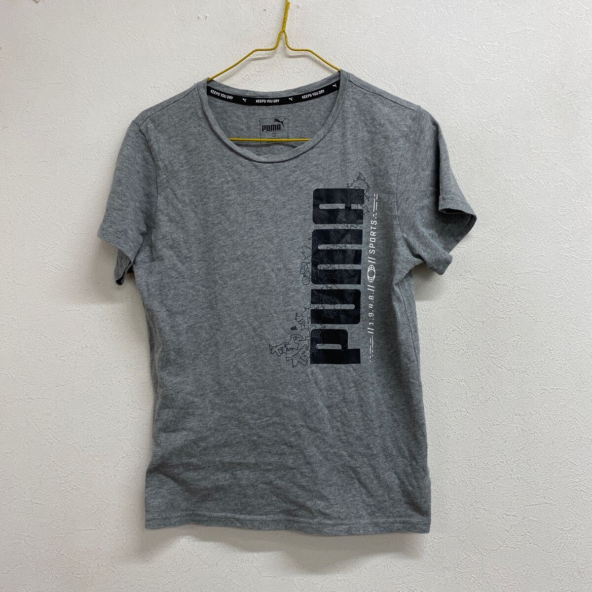 pumaプーマ レディース 半袖Tシャツ 160グレー だ17拍卖