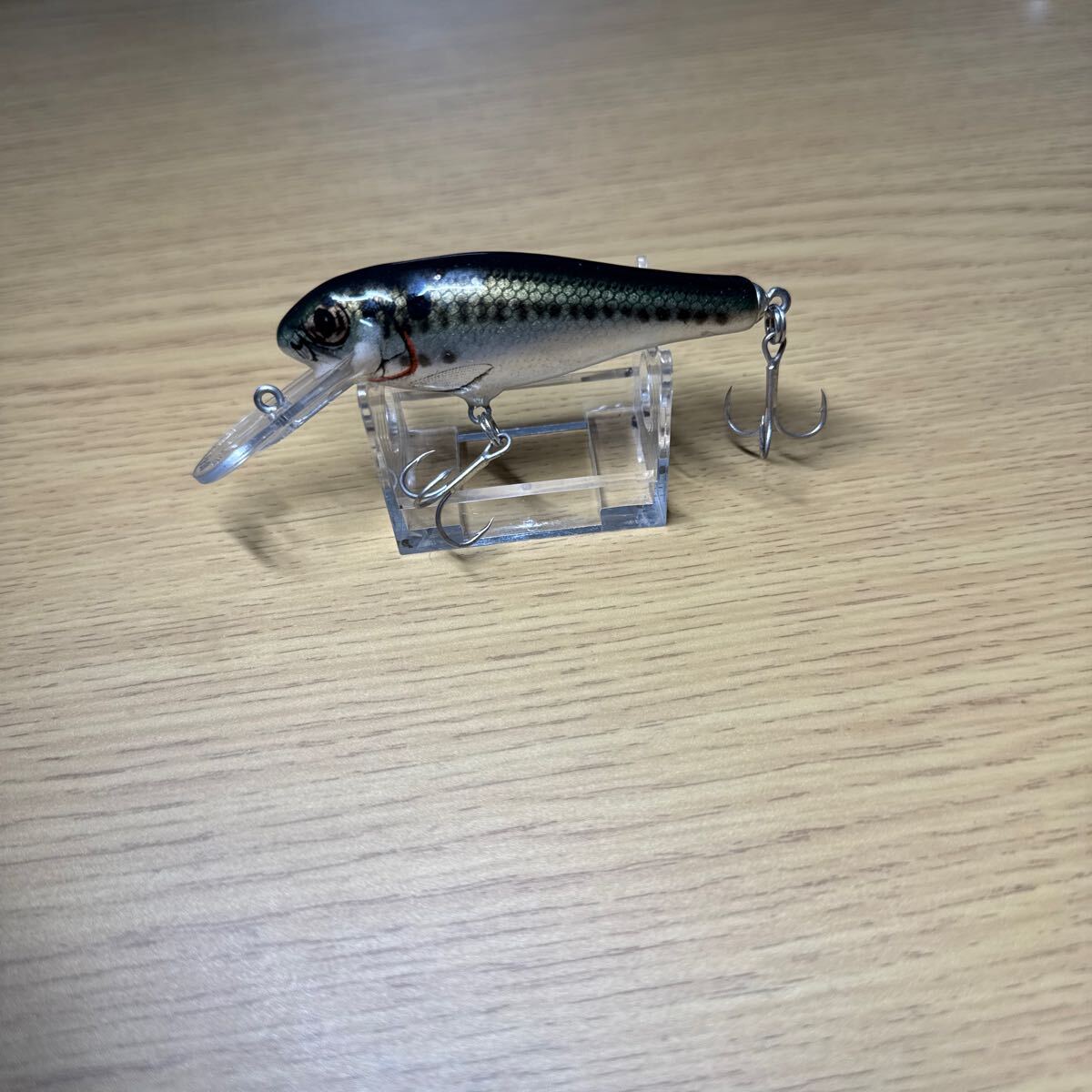 バグリー バッシンシャッド(ID05410)拍卖