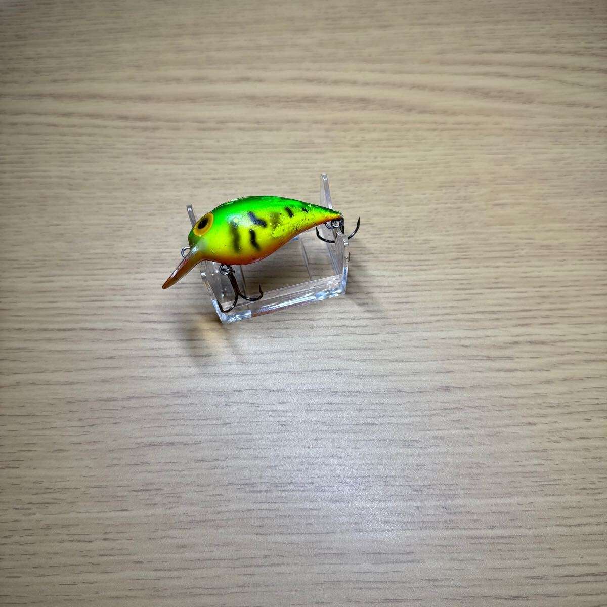 ストーム ショートワート(ID05410)拍卖