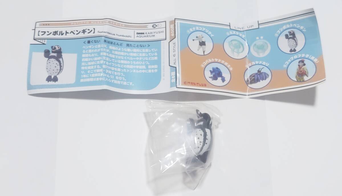 【新品・送料無料】 沖縄限定ガチャガチャ DMMかりゆし水族館 フンボルトペンギン拍卖