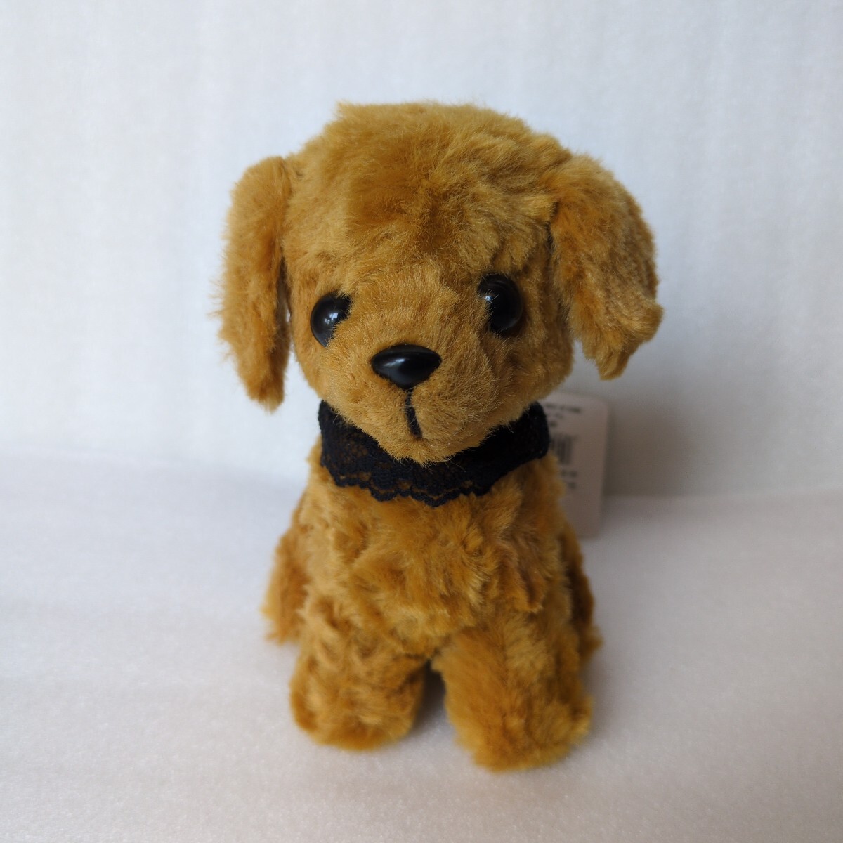 【タグ付き】サンレモン/トイプードル / マスコット拍卖