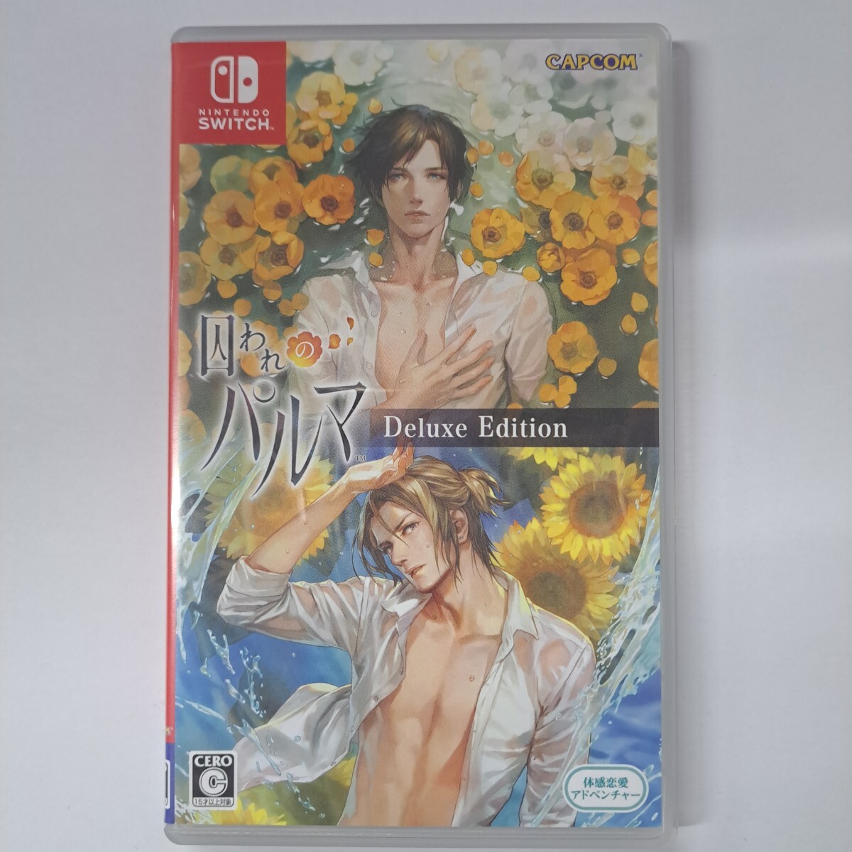 ★即決★送料無料★【Switch】 囚われのパルマ デラックス エディション拍卖