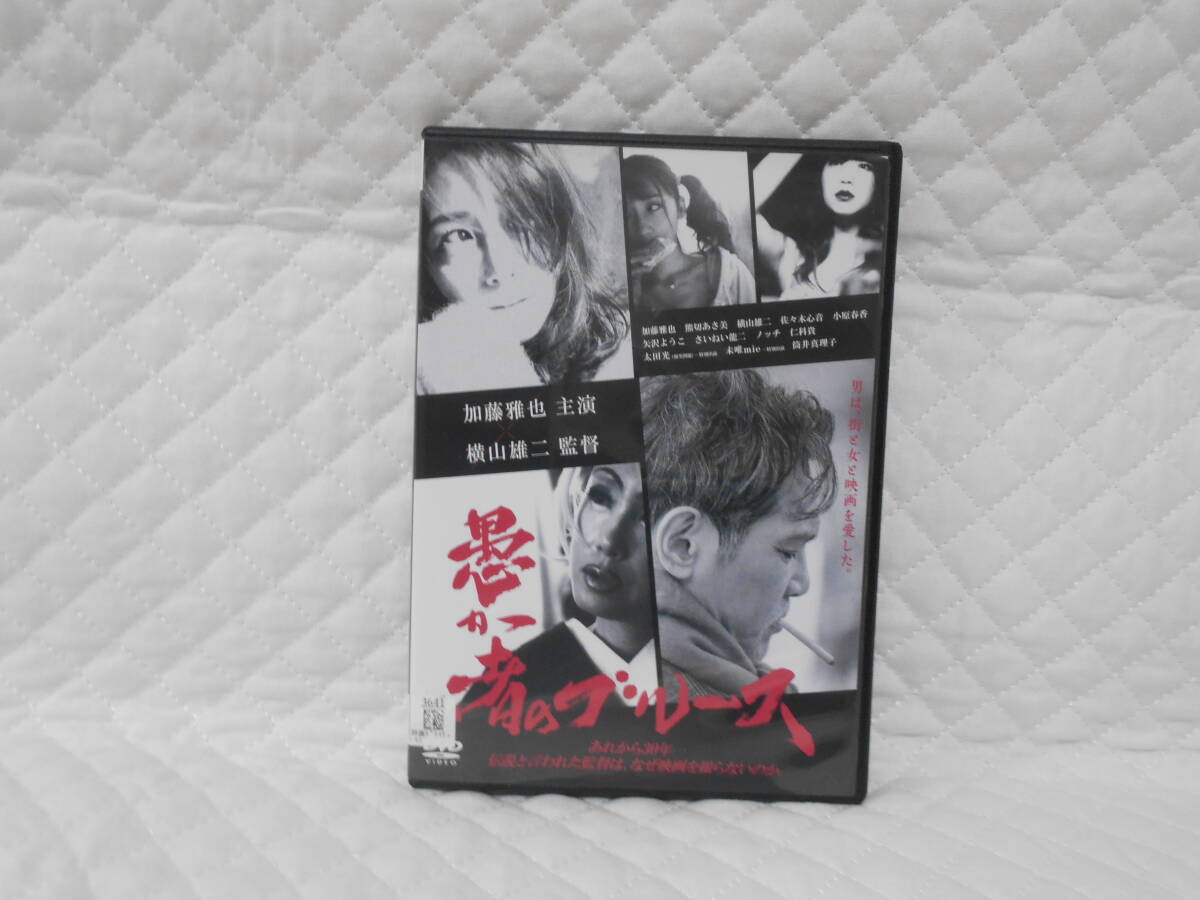 レンタルDVD 愚か者のブルース 拍卖